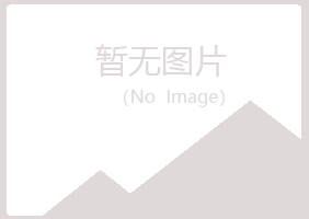 中山区问雁水泥有限公司